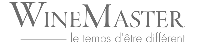 Logo WineMaster Cheminées contemporaines Sparte Saint Orens Toulouse poêle à granulés