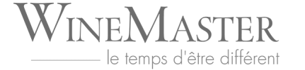Logo WineMaster Logo WineMaster Cheminées contemporaines Sparte Saint Orens Toulouse poêle à granulés